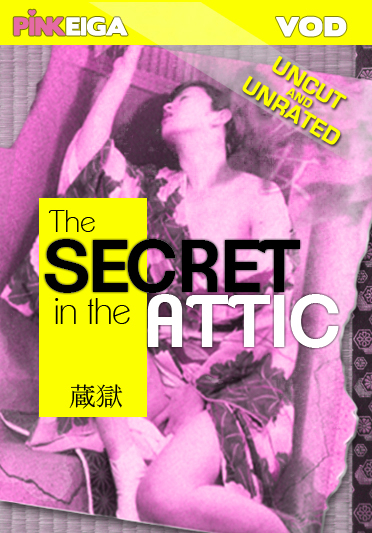 Secret in the Attic  -HD- DOWNLOAD TO OWN