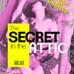 The Secret In the Attic Box art