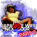 JWND2_box art 102016