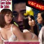 pleasure hotel box art v2
